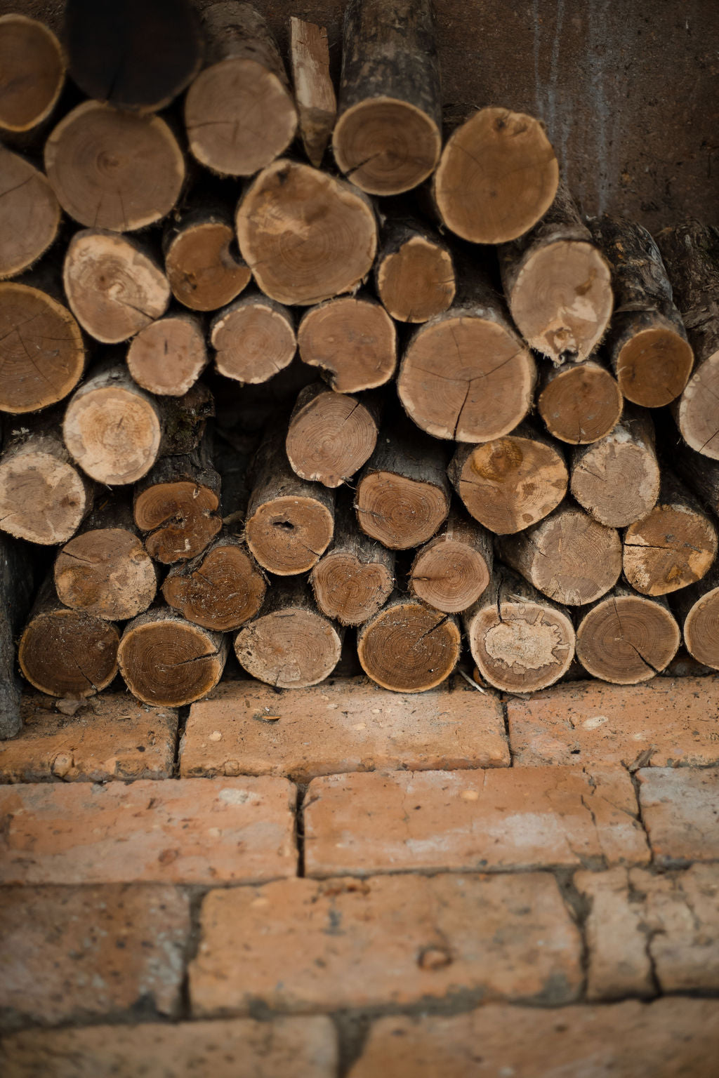 Field Notes: Autumn Reflection — Listening to the Land as it Slows