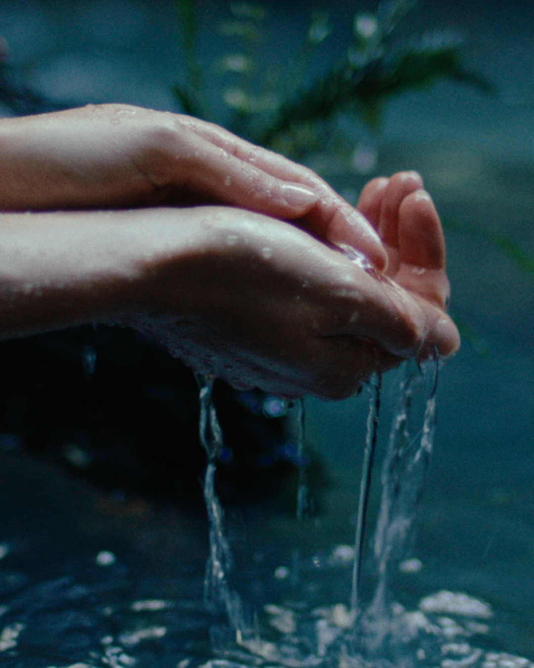 Hands holding water with a natural background