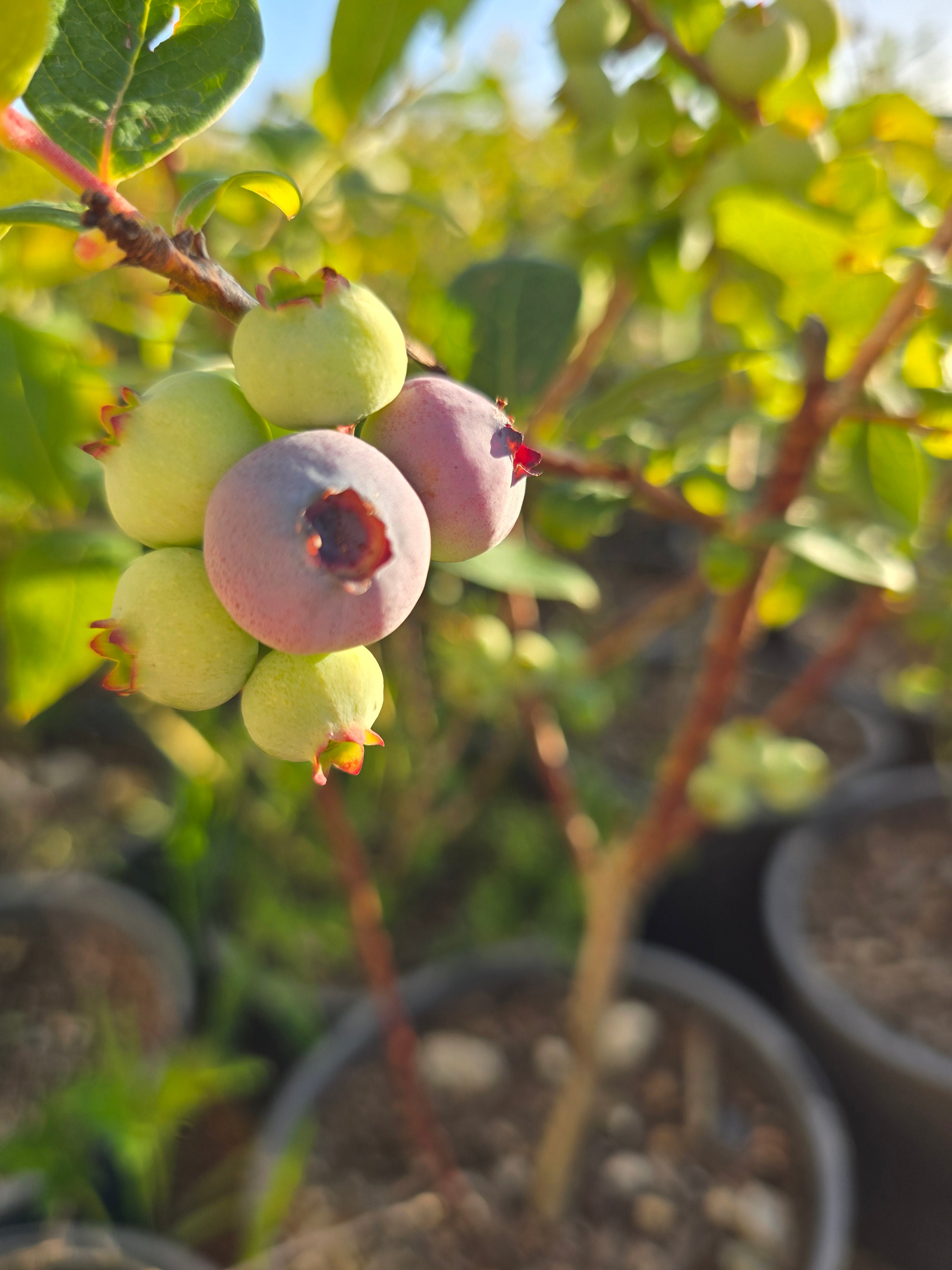 Field Notes: Where the Road Ends, Everything Begins