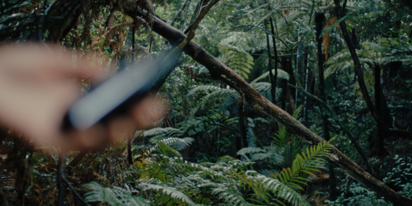 Tahi blurred product image in forest